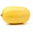 Courge spaghetti - Bio - Kg