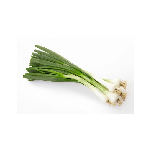 Cebette - Bio - Botte