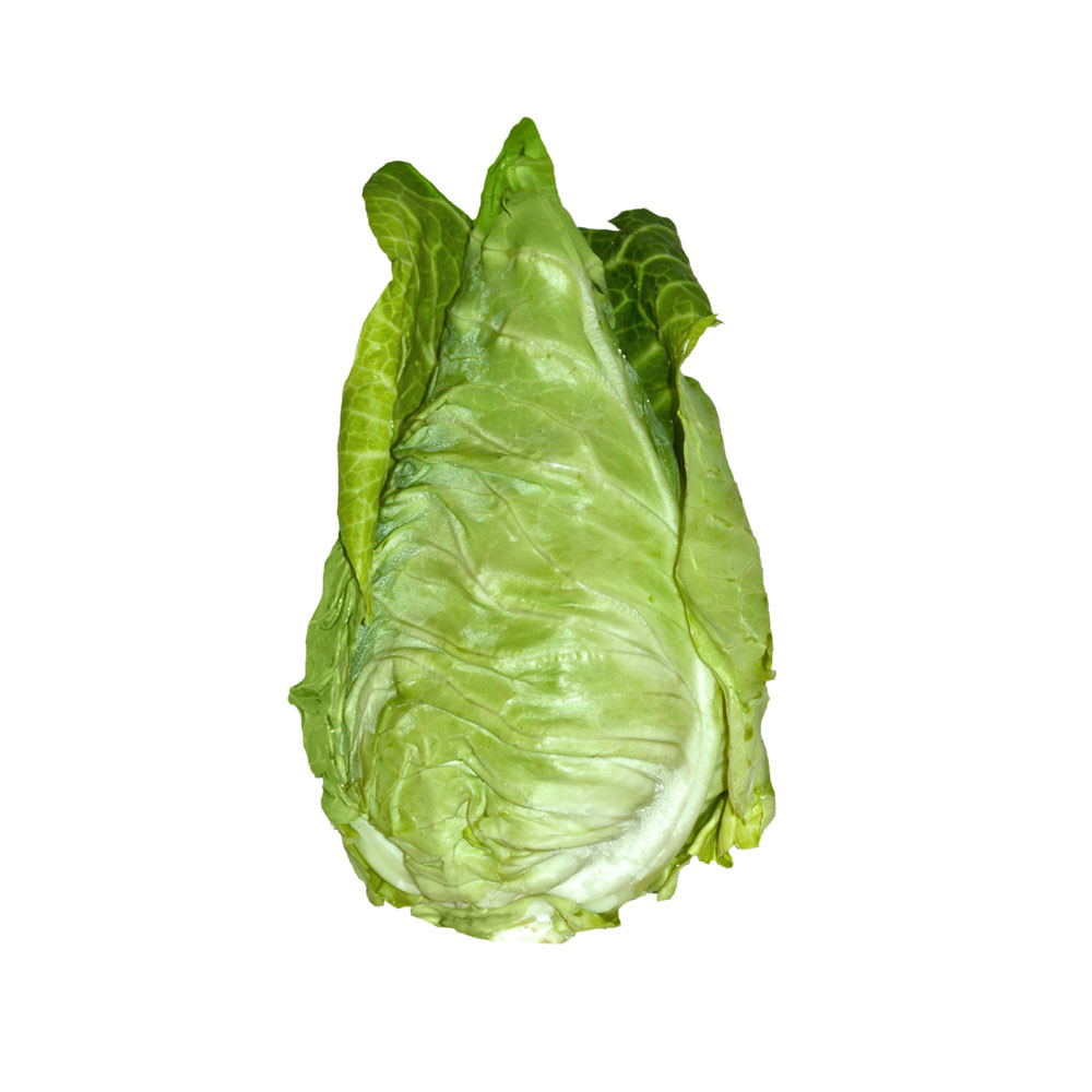 Chou pointu bio - Pièce