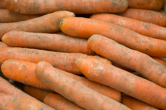 Carottes brossées bio - kg