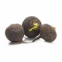 Radis noir rond - kg (Esat Wattrelos)