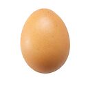 Oeufs gros - pièce (Ferme Catteau)